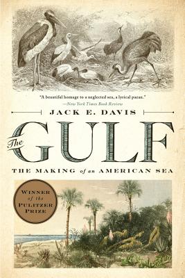 Cover Image for The Gulf: The Making of an American Sea -- Jack E. Davis, Paperback