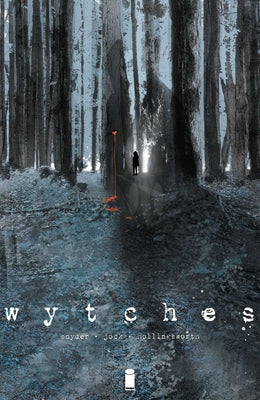 Cover Image for Wytches, Volume 1 -- Scott Snyder, Paperback