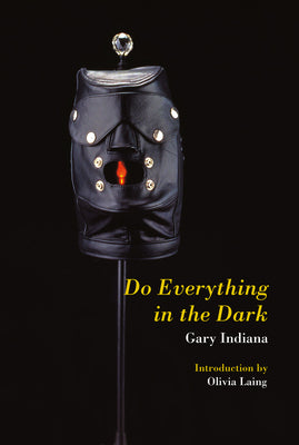 Cover Image for Do Everything in the Dark -- Gary Indiana, Paperback