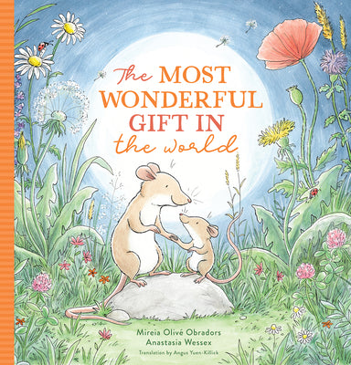 Cover Image for The Most Wonderful Gift in the World -- Mireia Olivé Obradors, Hardcover