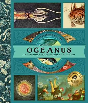 Cover Image for Oceanus: A Briny Bestiary: An Illustrated Guide to Over 75 Creatures of the Deep -- Lindy Mattice, Hardcover