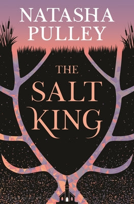 Cover Image for The Salt King -- Natasha Pulley, Hardcover