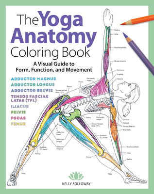 Cover Image for Yoga Anatomy Coloring Book: A Visual Guide to Form, Function, and Movement - An Educational Anatomy Coloring Book for Medical Students, Yoga Teach -- Kelly Solloway, Paperback