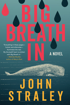 Cover Image for Big Breath IN -- John Straley, Hardcover