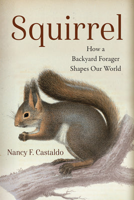 Cover Image for Squirrel: How a Backyard Forager Shapes Our World -- Nancy Castaldo, Paperback