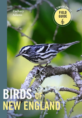 Cover Image for Birds of New England: A Timber Press Field Guide -- Zach Adams, Paperback