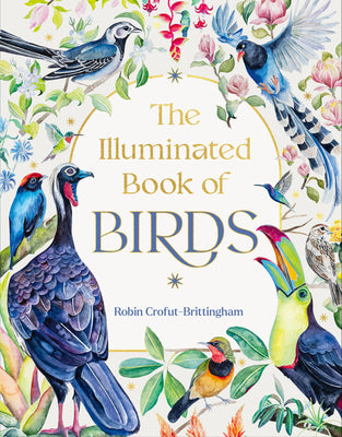 Cover Image for The Illuminated Book of Birds -- Robin Crofut-Brittingham, Hardcover