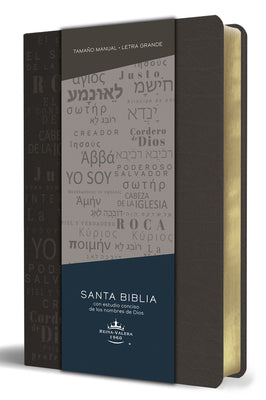 Cover Image for Biblia Rvr 1960 Letra Grande Tamaño Manual, Simil Piel Gris Con Nombres de Dios / Spanish Bible Rvr 1960 Handy Size Large Print Leathersoft Grey, Name -- Reina Valera Revisada 1960, Paperback