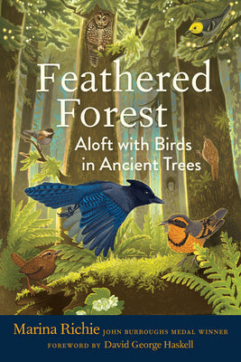 Cover Image for Feathered Forest: Aloft with Birds in Ancient Trees -- Marina Richie, Hardcover