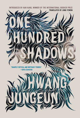 Cover Image for One Hundred Shadows -- Hwang Jungeun, Hardcover