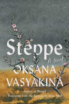 Cover Image for Steppe -- Oksana Vasyakina, Hardcover