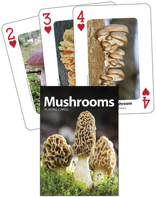 Cover Image for Mushrooms Playing Cards -- Adventure Publications, OO