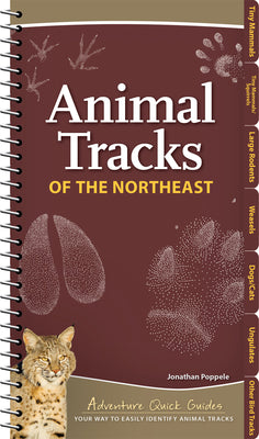Cover Image for Animal Tracks of the Northeast: Your Way to Easily Identify Animal Tracks -- Jonathan Poppele, Spiral
