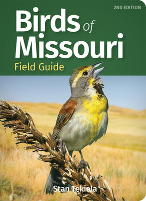 Cover Image for Birds of Missouri Field Guide -- Stan Tekiela, Paperback