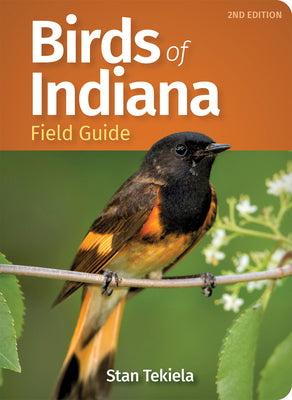 Cover Image for Birds of Indiana Field Guide -- Stan Tekiela, Paperback
