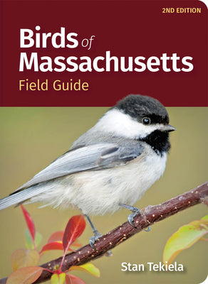 Cover Image for Birds of Massachusetts Field Guide -- Stan Tekiela, Paperback
