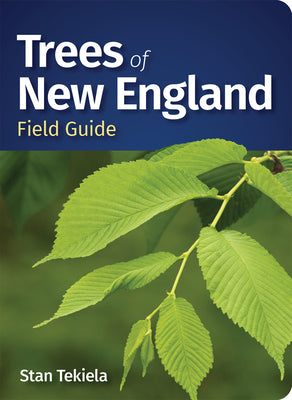 Cover Image for Trees of New England Field Guide -- Stan Tekiela, Paperback