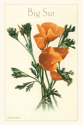 Cover Image for The Vintage Journal California Poppy, Big Sur -- Found Image Press, Paperback
