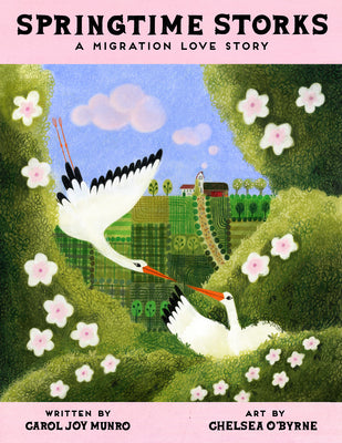 Cover Image for Springtime Storks: A Migration Love Story -- Carol Joy Munro, Hardcover