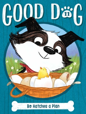 Cover Image for Bo Hatches a Plan -- Cam Higgins, Paperback