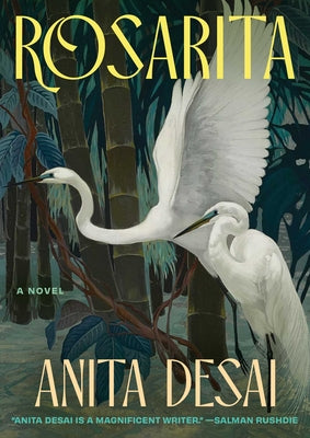 Cover Image for Rosarita -- Anita Desai, Hardcover