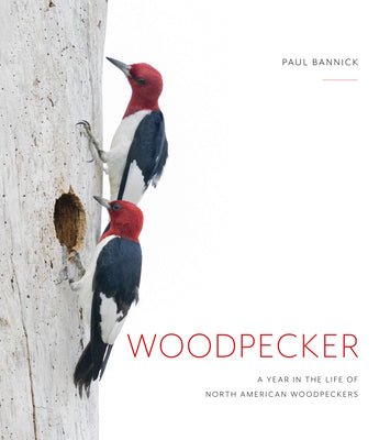 Cover Image for Woodpecker: A Year in the Life of North American Woodpeckers -- Paul Bannick, Hardcover