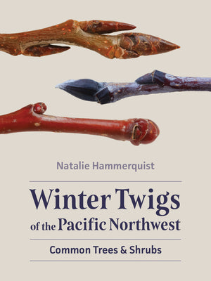Cover Image for Winter Twigs of the Pacific Northwest: Common Trees and Shrubs -- Natalie Hammerquist, Paperback