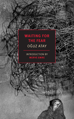 Cover Image for Waiting for the Fear -- Oguz Atay, Paperback