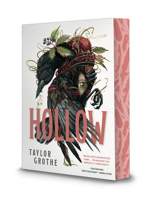 Cover Image for Hollow -- Taylor Grothe, Paperback