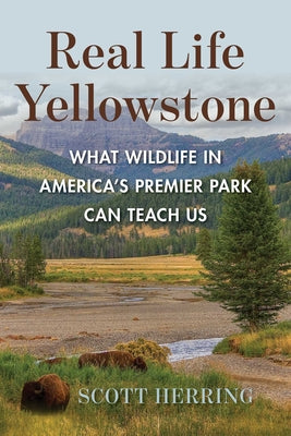 Cover Image for Real Life Yellowstone: What Wildlife in America's Premier Park Can Teach Us -- Scott Herring, Paperback