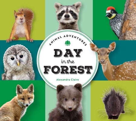 Cover Image for Animal Adventures: Day in the Forest -- Alexandra Claire, Board Books