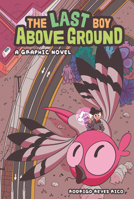 Cover Image for The Last Boy Above Ground: A Graphic Novel -- Rodrigo Reyes Rico, Library Binding
