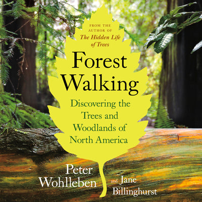 Cover Image for Forest Walking: Discovering the Trees and Woodlands of North America -- Peter Wohlleben, Paperback