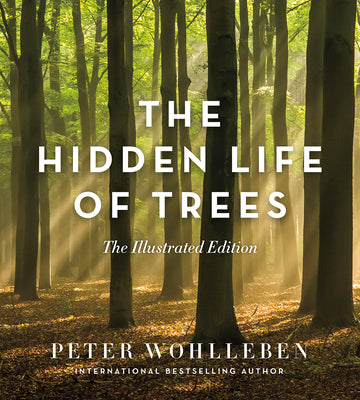 Cover Image for The Hidden Life of Trees: The Illustrated Edition -- Peter Wohlleben, Hardcover