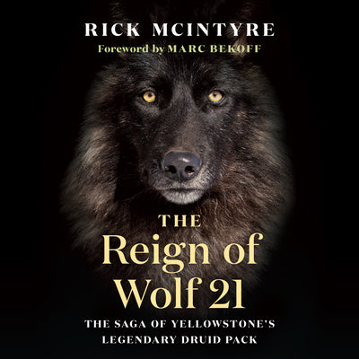 Cover Image for The Reign of Wolf 21: The Saga of Yellowstone's Legendary Druid Pack -- Rick McIntyre, Paperback