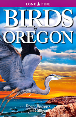 Cover Image for Birds of Oregon -- Roger Burrows, Paperback