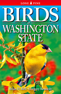 Cover Image for Birds of Washington State -- Brian Bell, Paperback