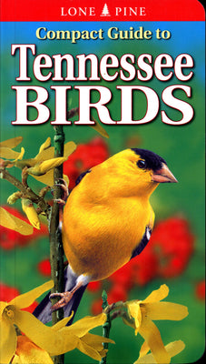 Cover Image for Compact Guide to Tennessee Birds -- Michael Roedel, Paperback