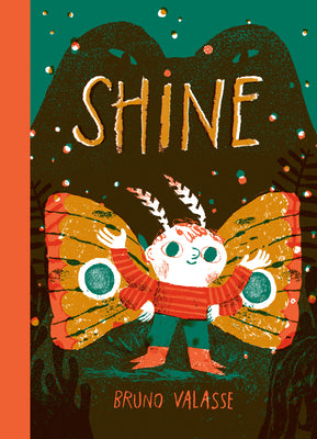 Cover Image for Shine -- Bruno Valasse, Hardcover