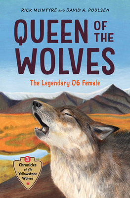 Cover Image for Queen of the Wolves: The Legendary 06 Female -- Rick McIntyre, Hardcover