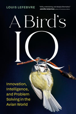 Cover Image for A Bird's IQ: Innovation, Intelligence, and Problem Solving in the Avian World -- Louis Lefebvre, Hardcover