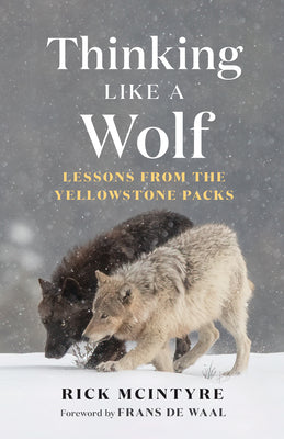 Cover Image for Thinking Like a Wolf: Lessons from the Yellowstone Packs -- Rick McIntyre, Paperback