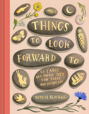 Cover Image for Things to Look Forward to: 52 Large and Small Joys for Today and Every Day -- Sophie Blackall, Hardcover
