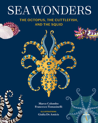 Cover Image for Sea Wonders: The Octopus, the Cuttlefish, and the Squid -- Marco Colombo, Hardcover