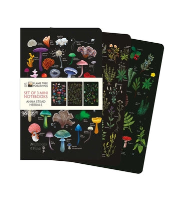 Cover Image for Anna Stead: Herbals Set of 3 Mini Notebooks -- Flame Tree Studio, Other