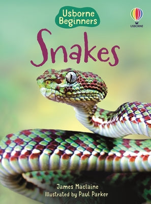 Cover Image for Snakes (Usborne Beginners) -- James MacLaine, Paperback