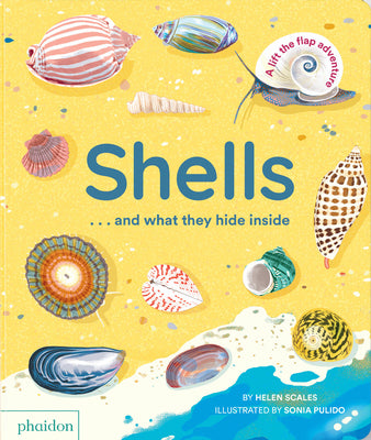 Cover Image for Shells... and What They Hide Inside: A Lift-The-Flap Adventure -- Helen Scales, Board Book