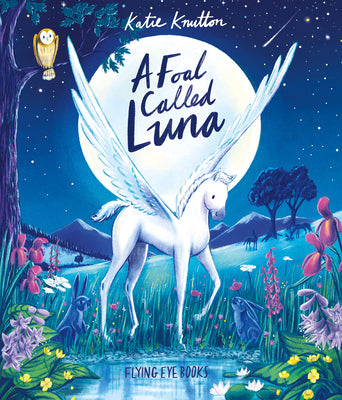 Cover Image for A Foal Called Luna -- Katie Knutton, Hardcover
