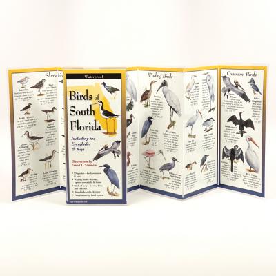 Cover Image for Birds of South Florida -- Ernest Simmons, Other