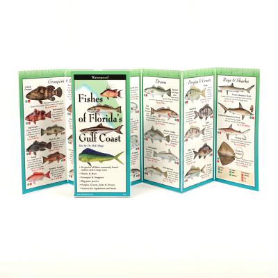 Cover Image for Fishes of the Florida's Gulf Coast -- Robert Shipp, Other